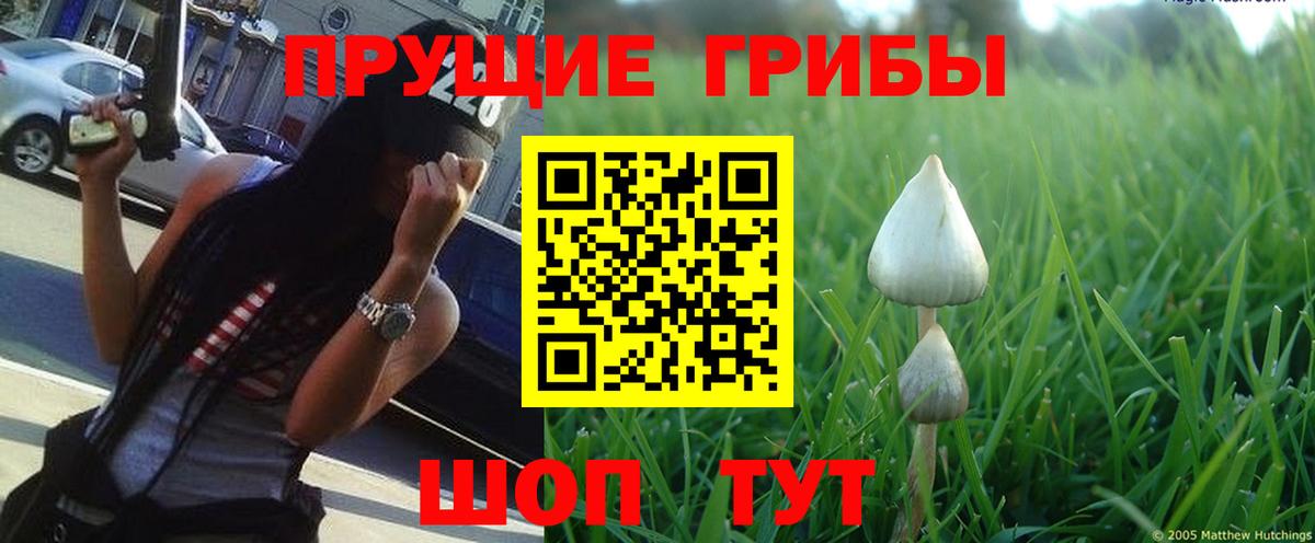 Псилоцибиновые грибы мухоморы  наркошоп  Киржач  Вход с VPN 